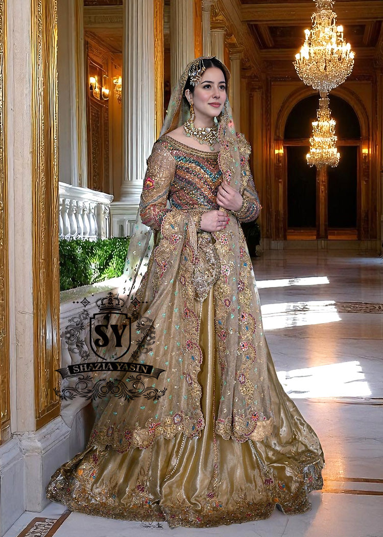 Traditional Indian Wedding Dresses Leander Texas USA Indian Wedding Lehenga Choli