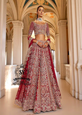 Bridal Lehenga Choli Royal Red Dress for Wedding