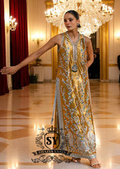 Pakistani Party Wear Dresses For Women Etobicoke Ontario Canada Collection of party wear dresses for any occasion