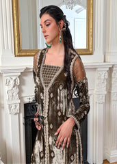 Buy Designer Pakistani Party Dress Virginia Maryland USA Long Open-Front Velvet Party Dress Pakistan