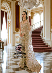 Pakistani Saree Indian Saree Bridal Saree UK USA Canada Buy Modern Pakistani Saree Designer Net Saree