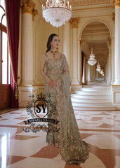 Pakistani Saree Indian Saree Bridal Saree UK USA Canada Buy Modern Pakistani Saree Designer Net Saree