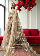 Latest Pakistani Champagne Saree Wedding Dress Online, Saree Designs, Designer Sarees, Saree Collection, buy saree in Pakistan