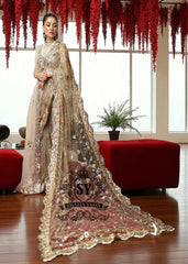 Latest Pakistani Champagne Saree Wedding Dress Online, Saree Designs, Designer Sarees, Saree Collection, buy saree in Pakistan