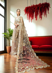 Latest Pakistani Champagne Saree Wedding Dress Online, Saree Designs, Designer Sarees, Saree Collection, buy saree in Pakistan