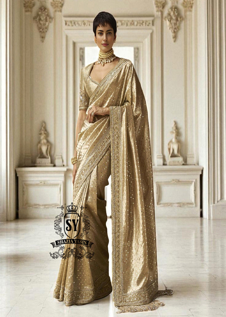 Embellished Bridal Macaroni Saree Dress Pakistani Wedding Saree Online Bridgeview Illinois USA
