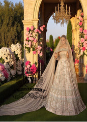 Diamond Champagne Tiffany Lehenga and Choli