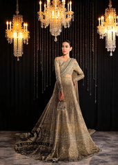 Pakistani Bridal Dresses USA Bridgeview Illinois Buy Stunning Café Au Lait Carter Lehenga with Attached Drape Dupatta