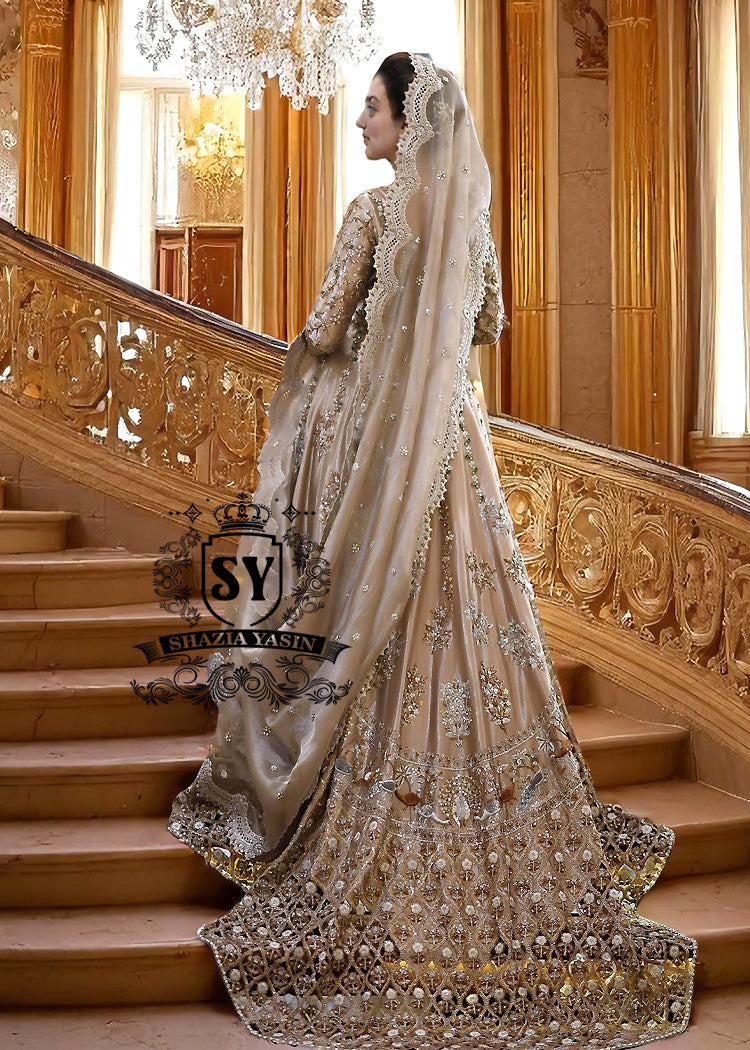 Luxurious Wedding Dresses Pearland Houston Texas USA Designer Wedding Dresses Wedding Gown