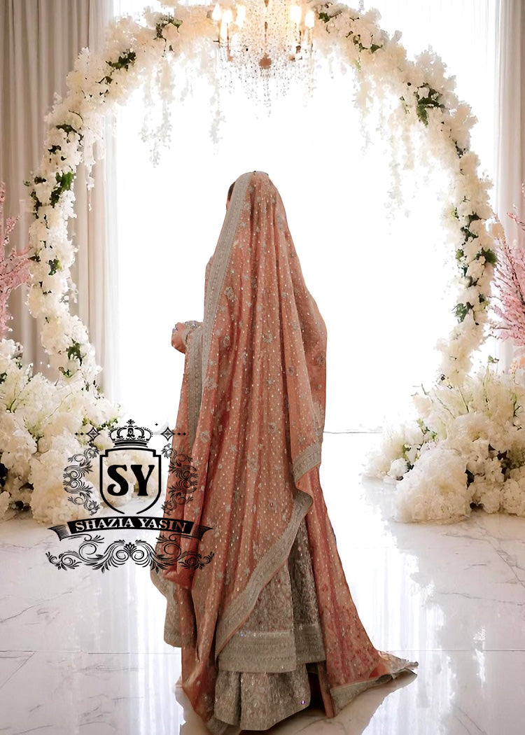 Duchess Rose Bridal Reception Dresses Mansfield Texas USA Latest Pishwas Bridal Reception Dresses