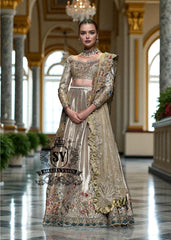 Pakistani Wedding Dresses Wedding Lehenga Choli Bolingbrook Illinois USA Latest Lehenga Choli for Wedding