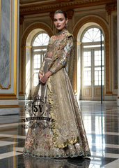 Pakistani Wedding Dresses Wedding Lehenga Choli Bolingbrook Illinois USA Latest Lehenga Choli for Wedding