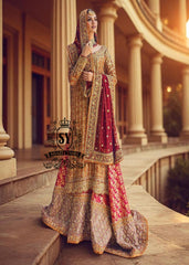 Luxury Wedding Dress With Shiny Long Train Dallas Texas USA Latest Bridal Lehenga Designs