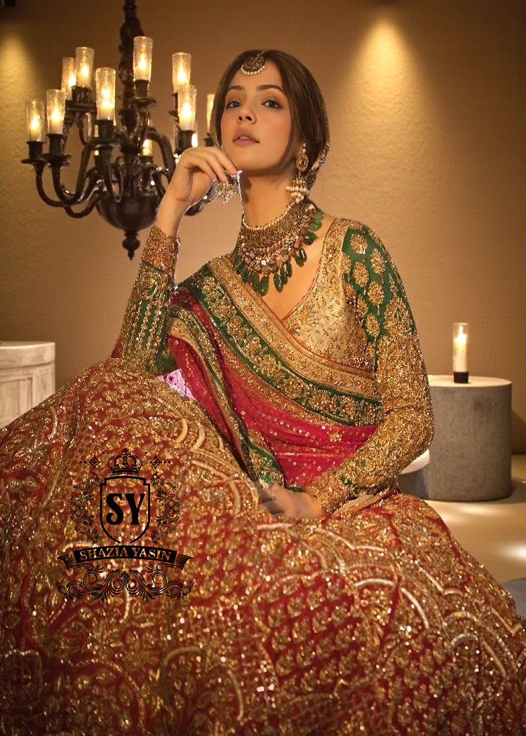 Fabulous Traditional Red Wedding Dresses Ithaca New York NY USA Designer Lehenga Choli Wedding Dresses Pakistani