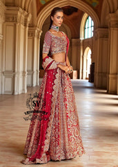 Bridal Lehenga Choli Royal Red Dress for Wedding