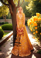 Sizzling Sunrise Bridal Lehenga Pakistani Wedding Dresses Traditional Pakistani Mayon Mehendi Bridal Dress