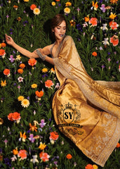 Best Saree Wedding dresses bridal Sarees for Reception Pakistani Saree bridal dresses with prices