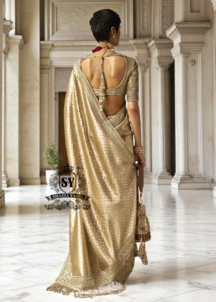 Heavy Embellished Bridal Macaroni Saree Dress Pakistani Wedding Saree Online Bridgeview Illinois USA