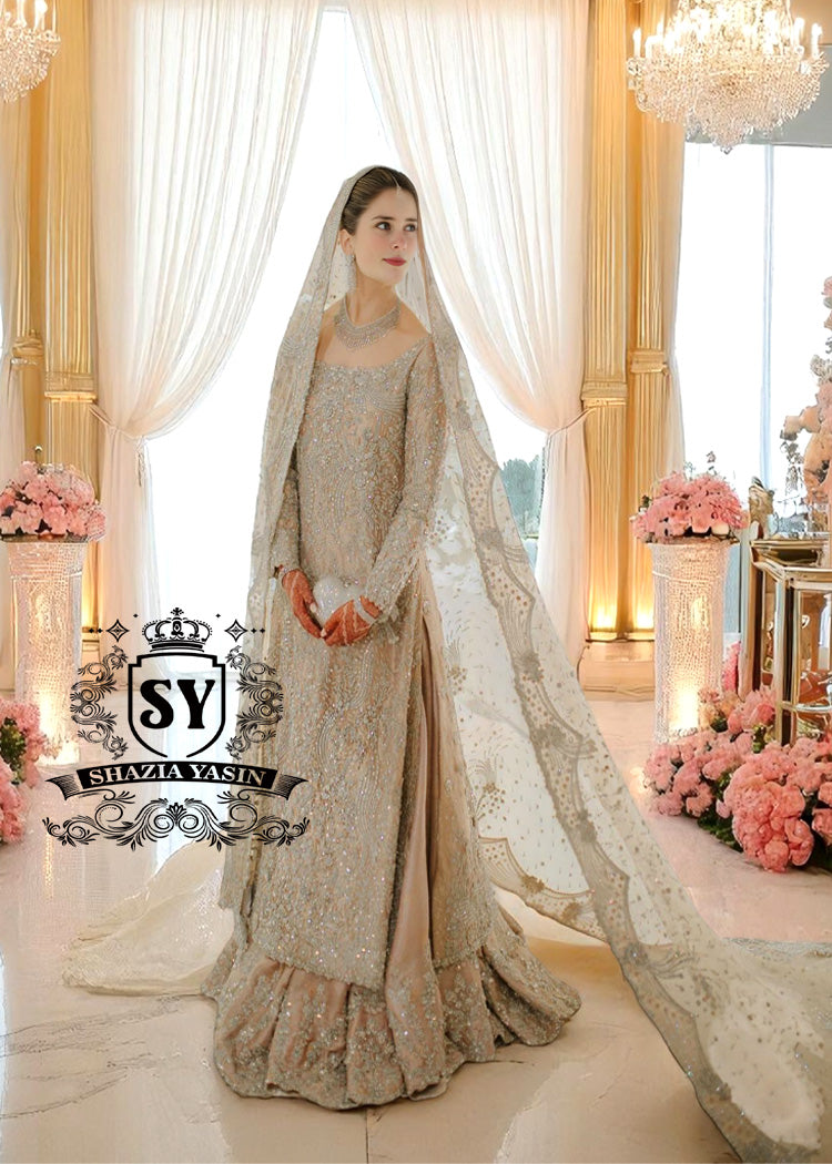 Bridal-Dress-136A Banana Mania Walima Dress for Bride Cedar Park Texas USA Latest Bridal Lehenga for Walima With Price