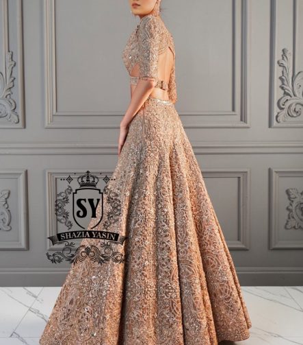 The essence of romance reimagined into a showstopping Lehenga silhouette. This bridal dress features a sculpted choli bodice with a dramatic front waist and daring sheer side cutouts, creating an interplay of strength and sensuality.