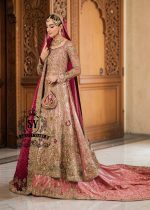 Unleash your inner star with our exquisite haute couture wedding dress, where modern elegance meets sophisticated warmth! This stunning Pishwas is designed to make you feel like royalty, with its delicate hand-embroidered technique and dramatic farshi Lehenga.