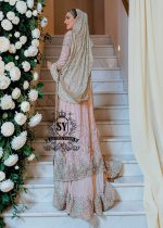 You can conquer the world! Exclusive Bridal dress style with perfect Lehenga lines. Underline your status with Fair Pink Wedding dress.