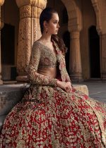 This Angels Red bridal dress is the epitome of grace and grandeur — a wedding lehenga choli dress crafted to perfection for your big day. Full of shine and feminine charm, this is a perfect choice for brides who want to subtly shine on their big day.