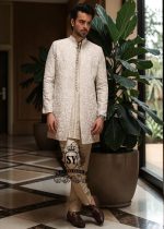 Introducing our absolute hit – a sherwani suit that will steal your hearts!
A Sherwani with a Straight-leg trousers = the perfect outfit.
Sleeves for maximum comfort.
A color that rejuvenates and adds radiance!