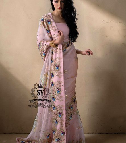 Pale pink Saree Wedding Dress Colorado Springs Colorado Luxury Saree Bridal Dresses buy Bridal Sarees