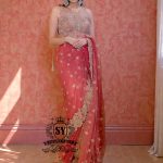 Enchanting Roman Saree