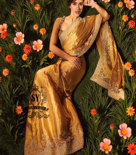 Best Saree Wedding dresses bridal Sarees for Reception Pakistani Saree bridal dresses with prices