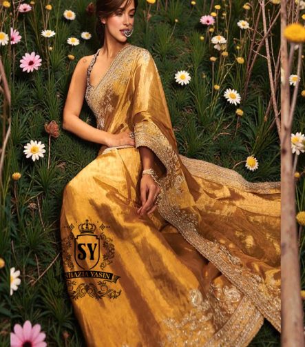 Best Saree Wedding dresses bridal Sarees for Reception Pakistani Saree bridal dresses with prices