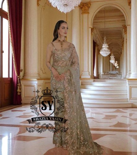 Pakistani Saree Indian Saree Bridal Saree UK USA Canada Buy Modern Pakistani Saree Designer Net Saree