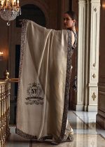 Pakistani Saree dresses for wedding Party Houston Texas TX USA Stylish Saree wedding dresses Pakistani