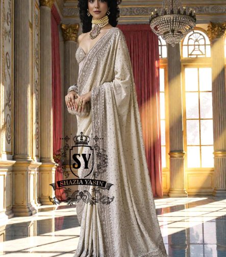This corset blouse saree is perfect for a true modern princess, with embellishments that take center stage in 2026 and suits all body types.