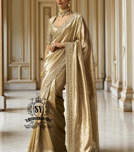 Luxurious Embellished Bridal Macaroni Saree Dress Pakistani Wedding Saree Online Bridgeview Illinois USA